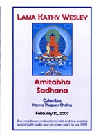 Amitabha Sadhana, DVD