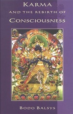 Karma and The Rebirth Of Consciousness