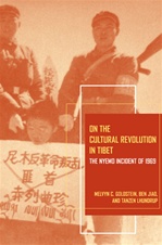 On the Cultural Revolution in Tibet