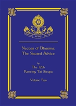 Nectar of Dharma: The Sacred Advice, Volume Two <br> Tai Situ Rinpoche