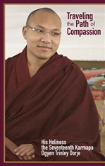 Traveling the Path of Compassion