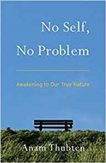 No Self, No Problem <br> By: Anam Thubten