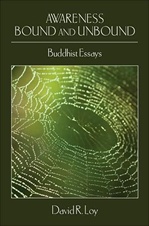 Awareness Bound and Unbound: Buddhist Essays