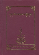 dag yig gsar bsgrigs (Tibetan - Tibetan Dictionary)