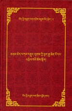 mnyam med bka' brgyud lugs kyi phyag chen po dang 'brel ba'i chos skor (Tibetan Only)