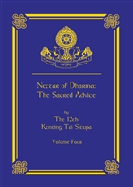 Nectar of Dharma,  Volume Four