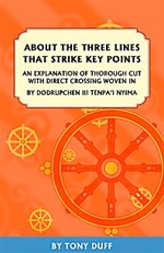 About The Three Lines That Strike Key Points, Tony Duff