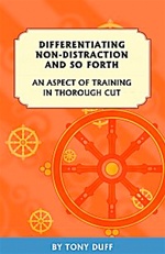 Differentiating Non-Distraction and So Forth: An Aspect of Training in Thorough Cut