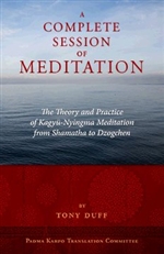 Complete Session of Meditation: The Theory and Practice of Kagyu-Nyingma Meditation from Shamatha to Dzogchen, Tony Duff