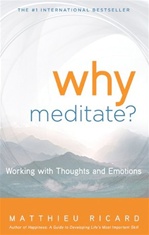 Why Meditate: Working with Thoughts and Emotions