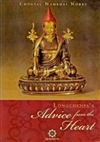 Longchenpa's Advice from the Heart