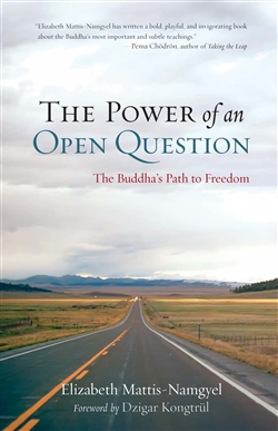 Power of an Open Question: The Buddha's Path to Freedom by Elizabeth Mattis-Namgyel