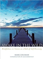 Awake in the Wild: Mindfulness in Nature as a Path of Self-Discovery