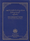 Subsequent Tantra: From the Four Tantras of Tibetan Medicine