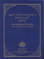 Subsequent Tantra: From the Four Tantras of Tibetan Medicine