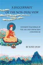 Juggernaut of the Non-Dual View: Ultimate Teachings of the Second Drukchen