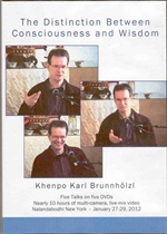 Distinction Between Consciousness and Wisdom (DVD)