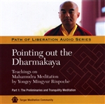 Pointing Out the Dharmakaya: Mahamudra Teachings, Pt. 2 (MP3 CD)<br>  By: Mingyur Rinpoche