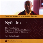 Ngondro: The Foundational Practices, Part 1 The Four Thoughts MP3 CD  By: Yongey Mingyur Rinpoche