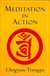 Meditation in Action <br> By: Chogyam Trungpa Rinpoche