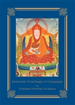 Essential Teachings of Gampopa