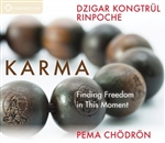 Karma: Finding Freedom in This Moment (CDs)  Pema Chodron &  Dzigar Kongtrul Rinpoche