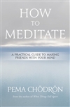 How to Meditate: A Practical Guide to Making Friends with Your Mind,  Pema Chodron