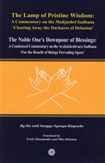 Lamp of Pristine Wisdom, Noble One's Downpour of Blessings<br> By: Sangye Nyenpa