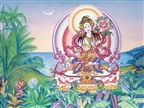 White Tara, Huelo Scenery