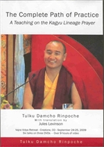 Complete Path of Practice (DVD) By: Tulku Damcho Rinpoche