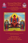 Practices of Buddha Amitabha and Chenrezig in the Six Realms