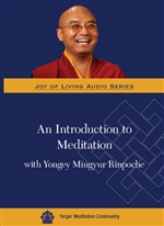 Introduction to Meditation with Yongey Mingyur Rinpoche DVD <br> By: Mingyur Rinpoche
