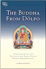 Buddha from Dolpo : A Study of the Life and Thought of the Tibetan Master Dolpopa Sherab Gyaltsen , Cyrus Stearns