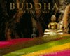 Buddha the Living Way , deForest Trimingham / Pico Iyer,