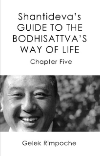 Shantideva's Guide to the Bodhisattva's Way of Life - Chapter 5