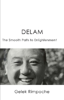 Delam - The Smooth Path to Enlightenment