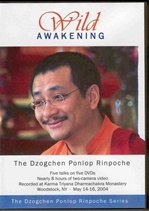 Wild Awakening (DVD) <Br> By: Dzogchen Ponlop Rinpoche