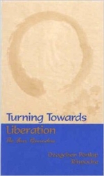 Turning Towards Liberation