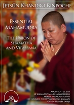 Essential Mahamudra
