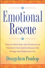 Emotional Rescue : How to Work with Your Emotions to Transform Hurt and Confusion into Energy that Empowers You Dzogchen Ponlop Rinpoche,  Tarcher Perigee