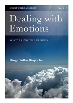 Dealing with Emotions: Scattering the Clouds