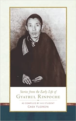 Stories from the Early Life of Gyatrul Rinpoche