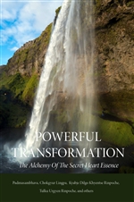 Powerful Transformation: The Alchemy of The Secret Heart Essence