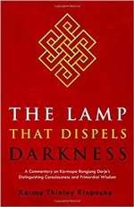 Lamp that Dispels Darkness: A Commentary on Karmapa Rangjung Dorje's ,Distinguishing Consciousness and Primordial Wisdom, Karma Thinley Rinpoche