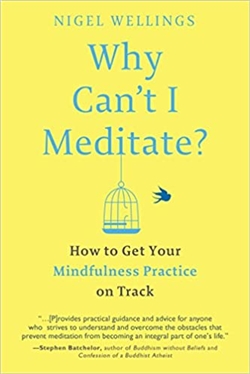 Why Can't I Meditate?: How to Get Your Mindfulness Practice on Track, Nigel Wellings