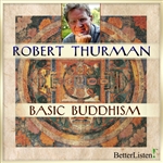 Basic Buddhism (CD)