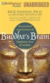 Buddha's Brain:The Practical Neuroscience of Happiness, Love & Wisdom