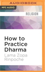 How to Practice Dharma MP3 CD Lama Zopa Rinpoche