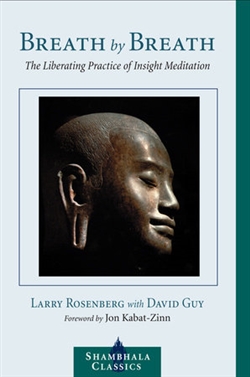 Breath by Breath : The Liberating Practice of Insight Meditation; Larry Rosenberg, Shambhala Publlications