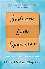 Sadness, Love, Openness: The Buddhist Path of Joy, , Chokyi Nyima Rinpoche, Shambhala Publications
